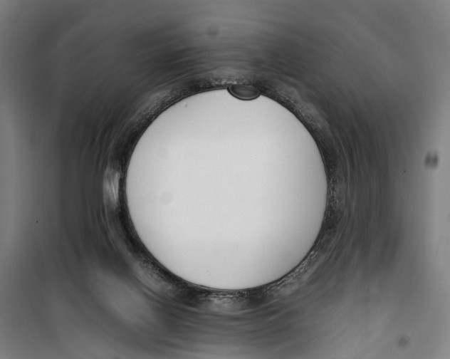 X0000099550070200806061526