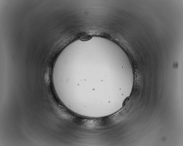 X0000099550074200806061526