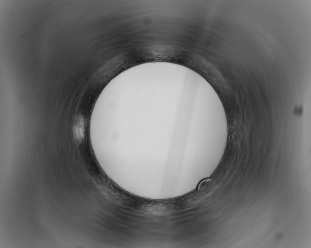 X0000099550075200806061526