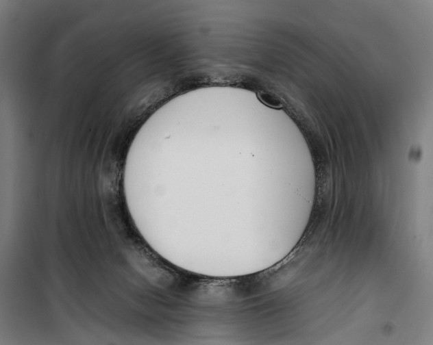 X0000099550078200806061526