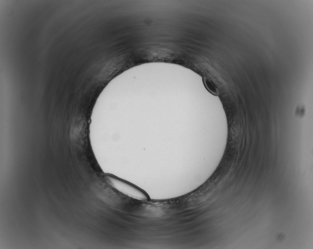 X0000099550079200806061526