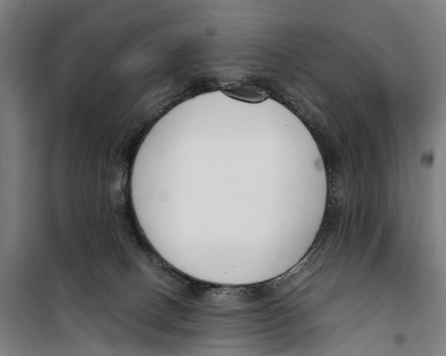 X0000099550082200806061526