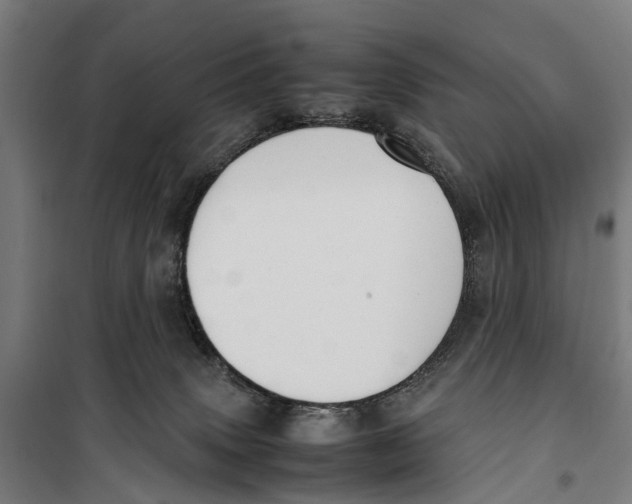 X0000099550083200806061527