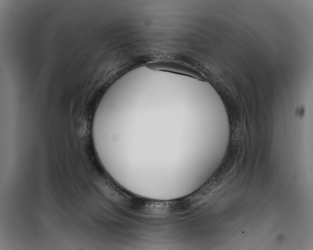 X0000099550084200806061527