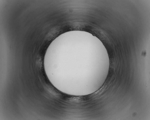 X0000099550086200806061527