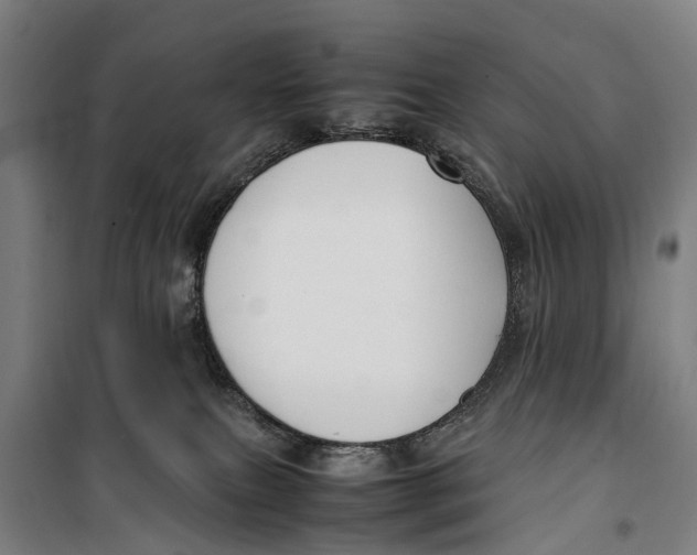 X0000099550087200806061527