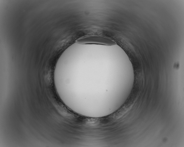 X0000099550088200806061527