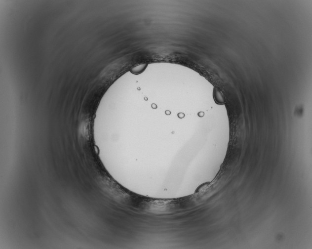 X0000099550090200806061527