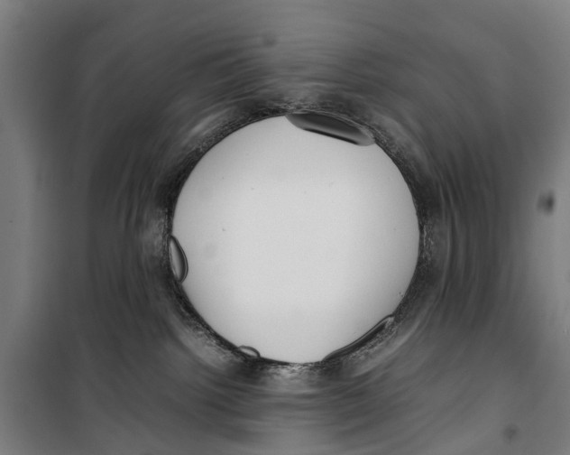 X0000099550092200806061527