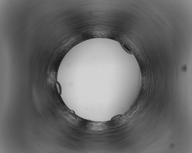 X0000099550093200806061527