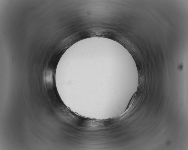 X0000099550094200806061527