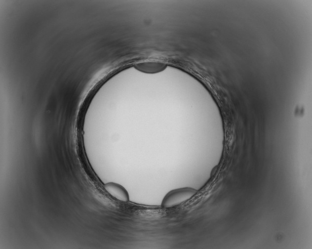 X0000099550102200806061526