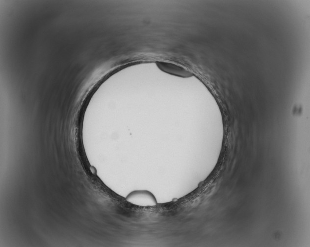 X0000099550103200806061526