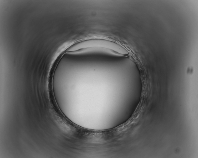 X0000099550104200806061526