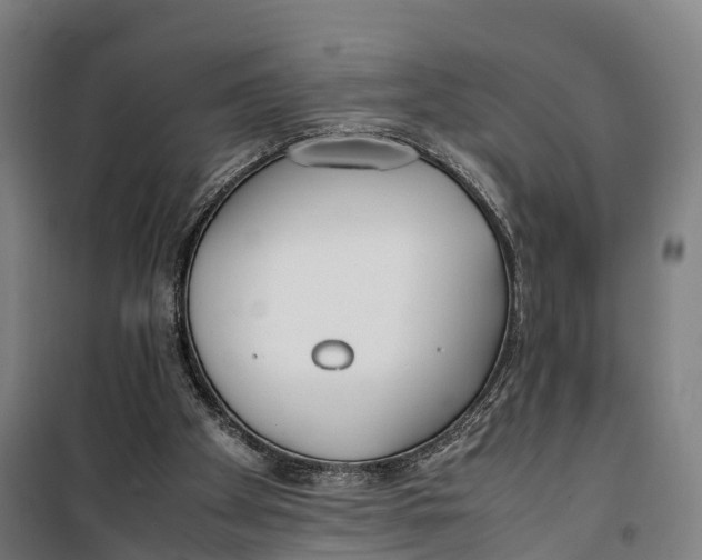 X0000099550105200806061526