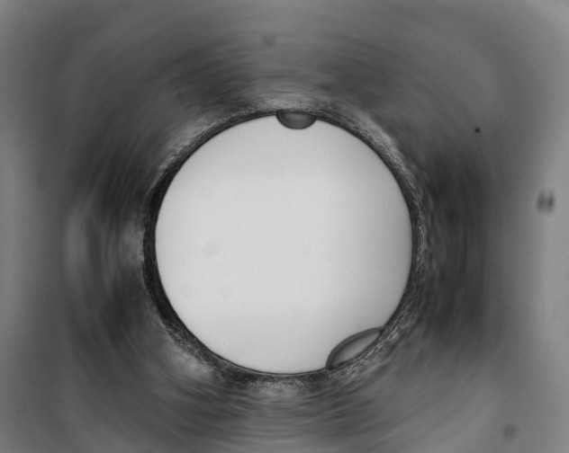 X0000099550106200806061526