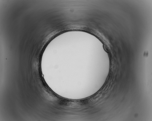 X0000099550107200806061526