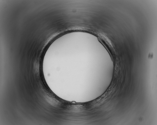 X0000099550108200806061526