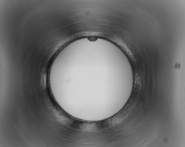 X0000099550110200806061526