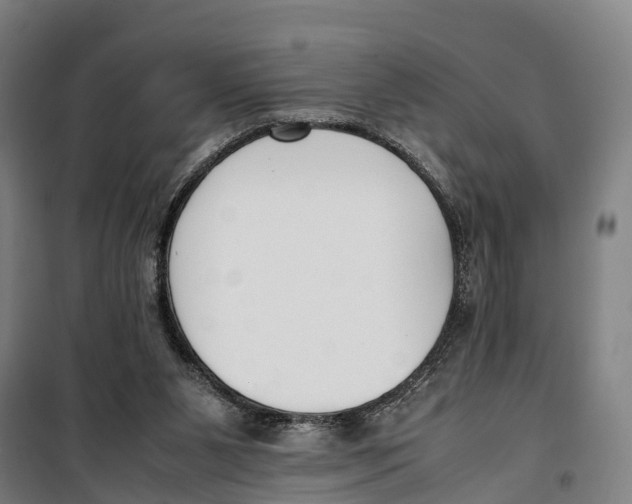 X0000099550111200806061526