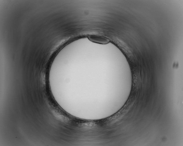 X0000099550112200806061526