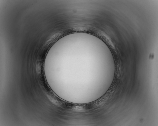 X0000099550114200806061526