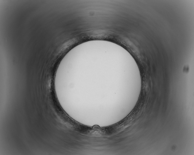 X0000099550115200806061526