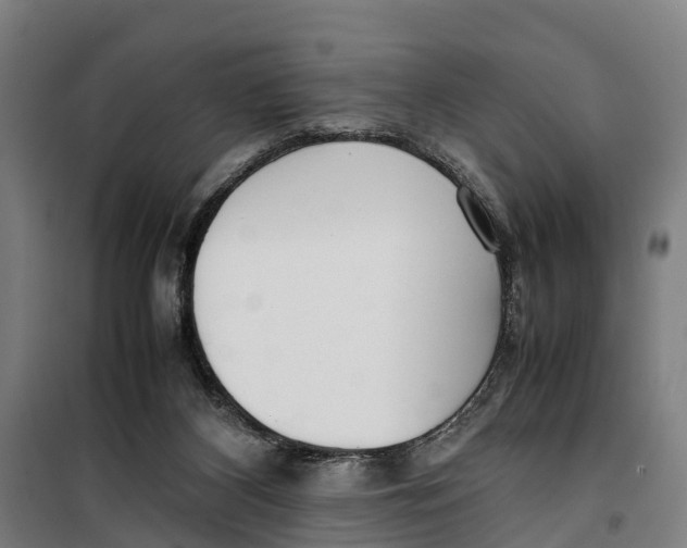 X0000099550116200806061526