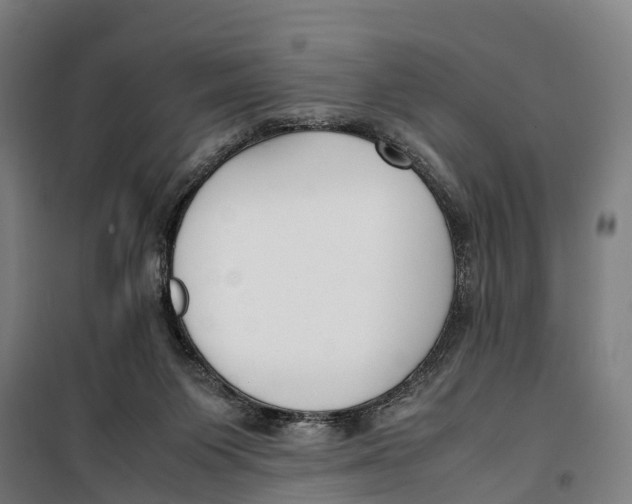 X0000099550119200806061526