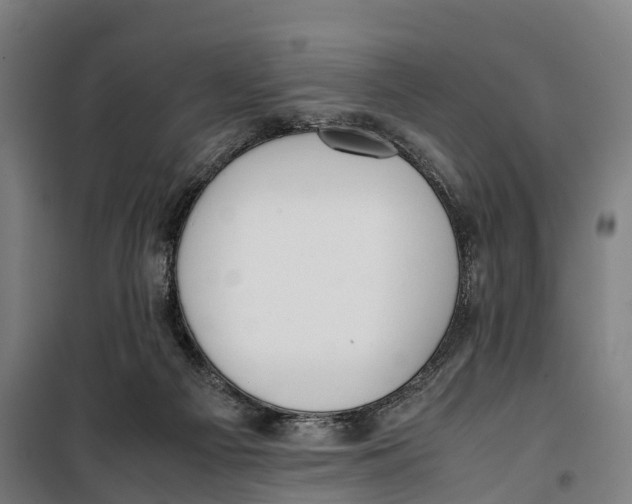 X0000099550121200806061526