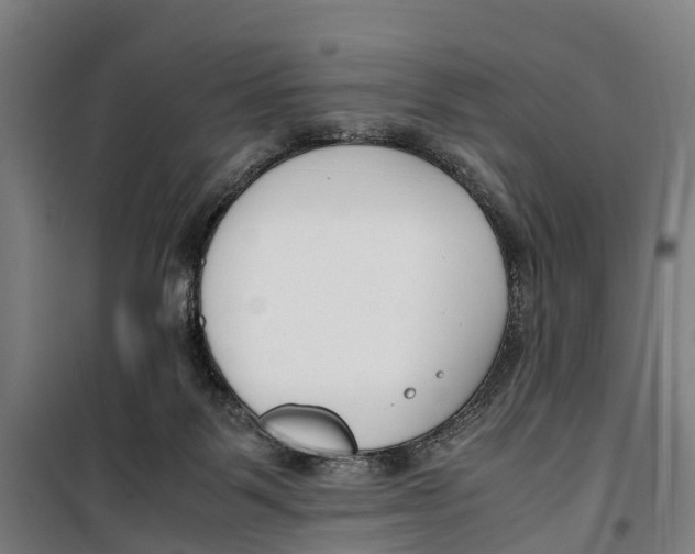 X0000099550123200806061526