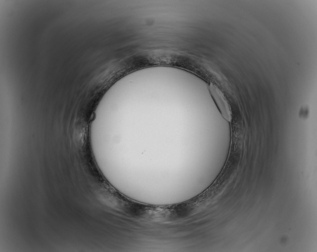 X0000099550125200806061526