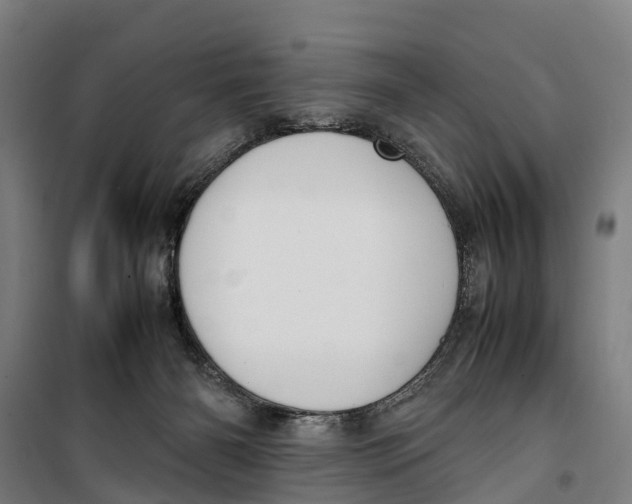 X0000099550126200806061526