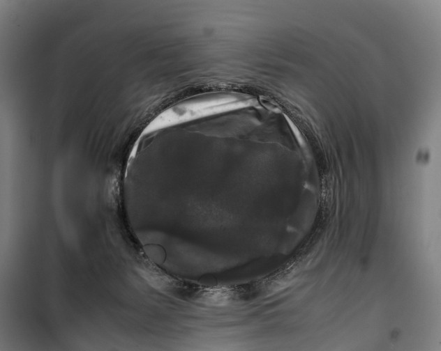 X0000099550127200806061526