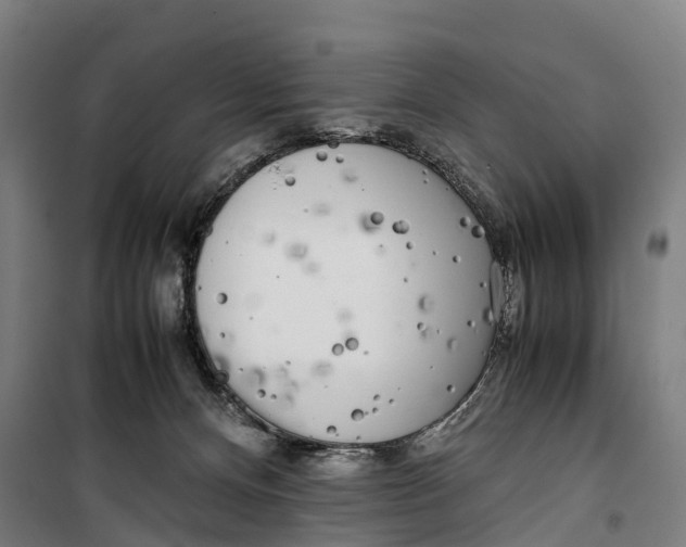 X0000099550128200806061526