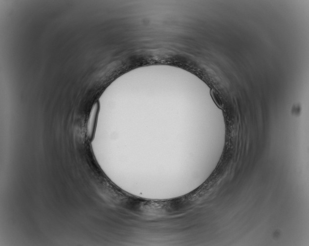 X0000099550129200806061526