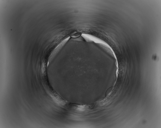 X0000099550130200806061526