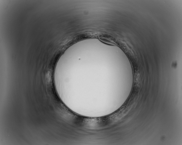 X0000099550131200806061526