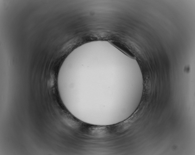 X0000099550132200806061525