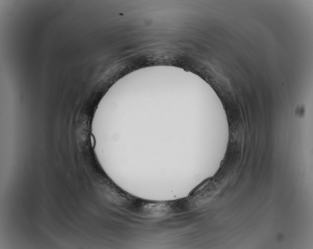 X0000099550133200806061525