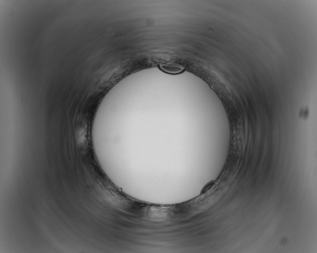 X0000099550134200806061525