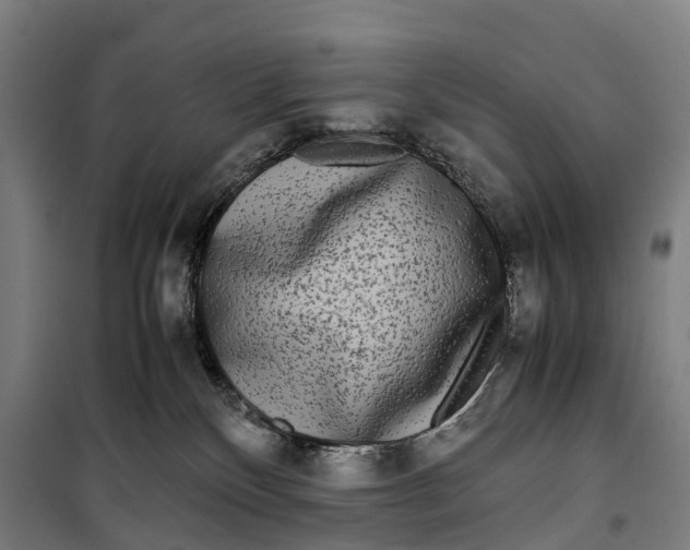 X0000099550136200806061525