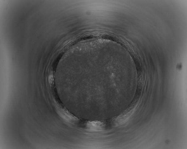 X0000099550137200806061525