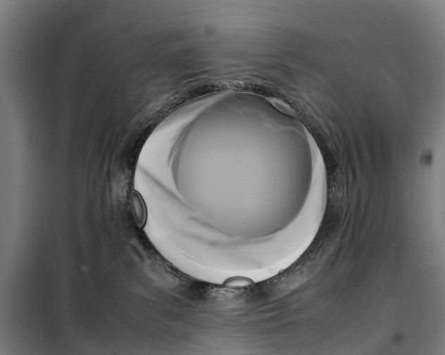 X0000099550139200806061525