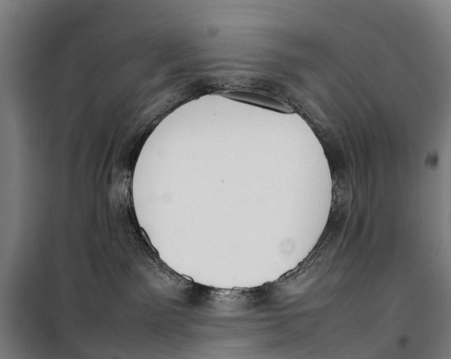 X0000099550141200806061525