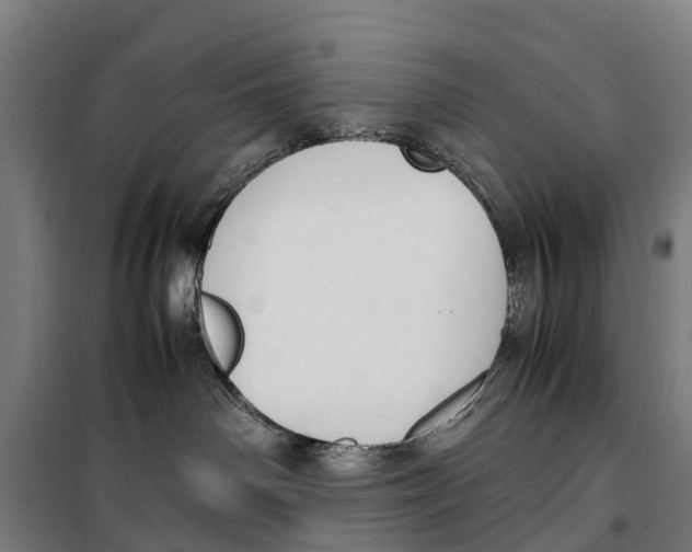 X0000099550142200806061525