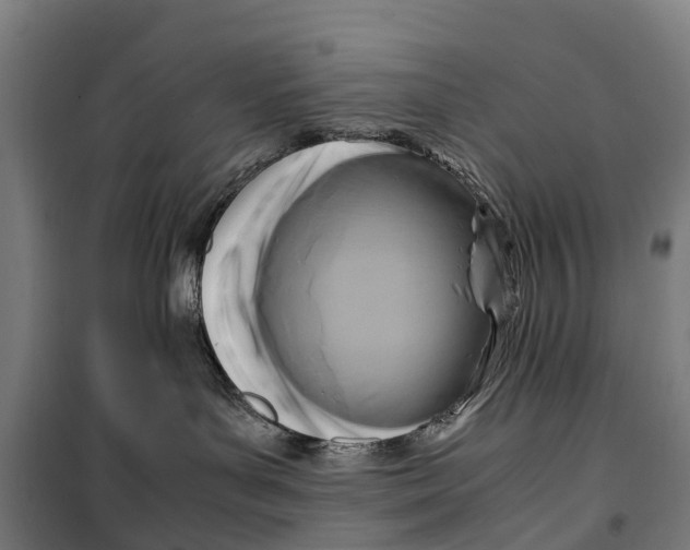 X0000099550143200806061525