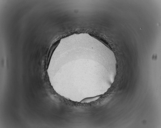 X0000099550144200806061525