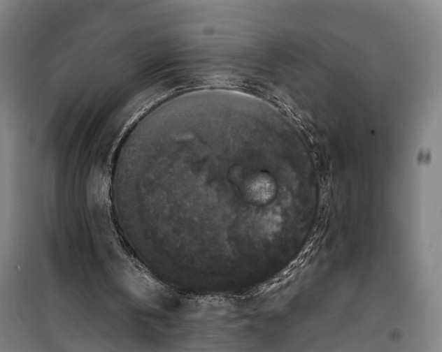 X0000099550146200806061525