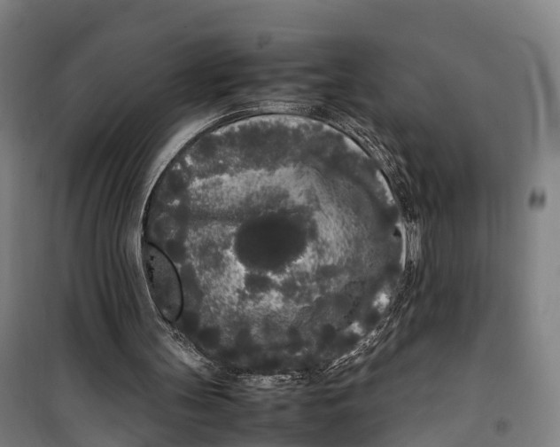 X0000099550147200806061525